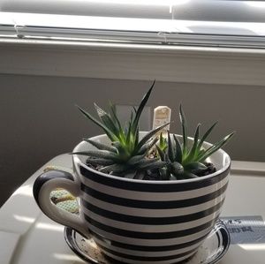 Meet your Posher, Shanika